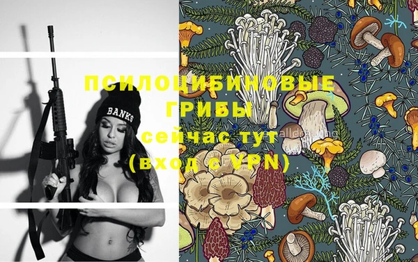 PSILOCYBIN Наволоки