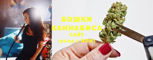 гашик Надым