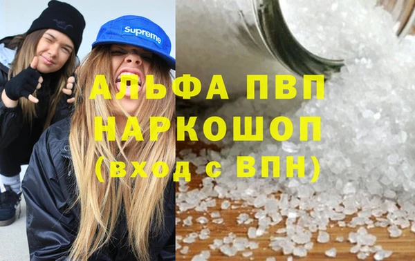 гашик Надым