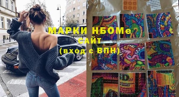 гашик Надым