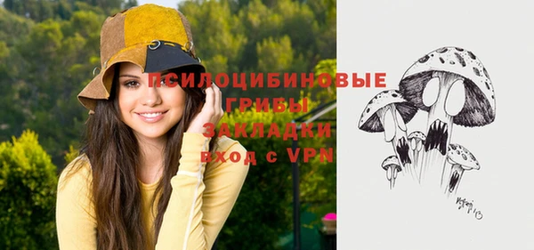PSILOCYBIN Наволоки