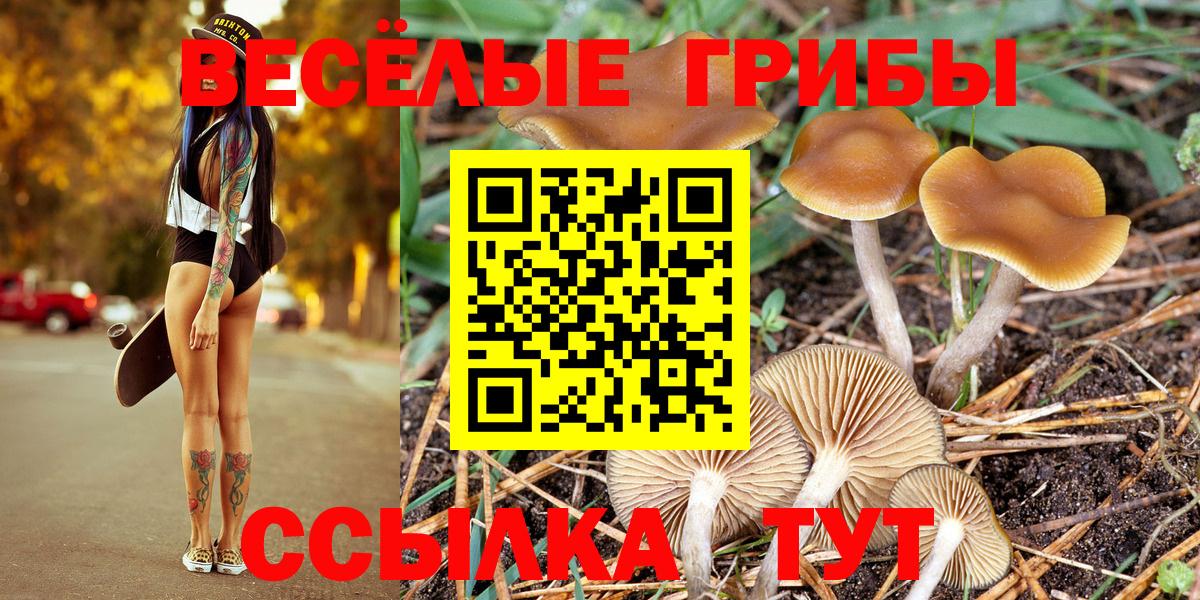 Псилоцибиновые грибы GOLDEN TEACHER  Галлюциногенные грибы мухоморы  Вологда  Вход с VPN 