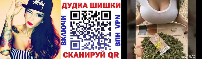 Конопля сатива  Вологда 